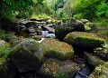 paysage 07_10_11n01